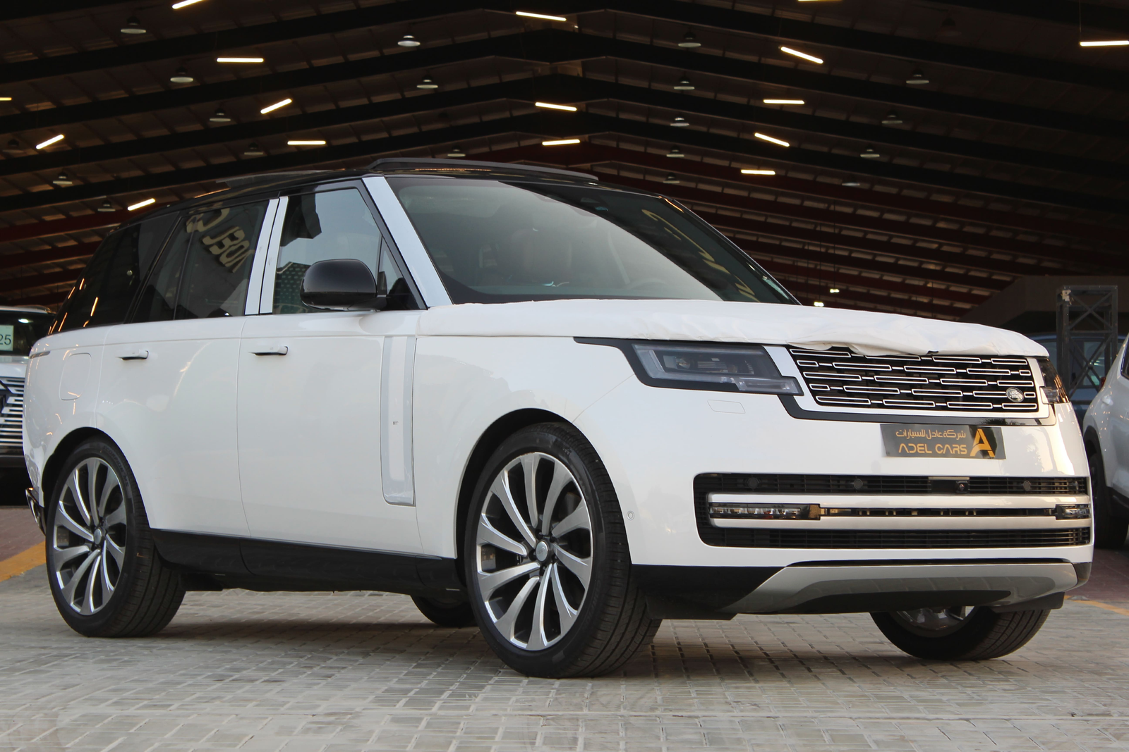 Range Rover Autobiography V6 2025 - 